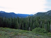 RIMG0379