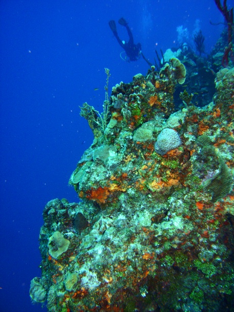 RIMG0654