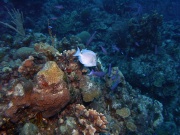 RIMG0754