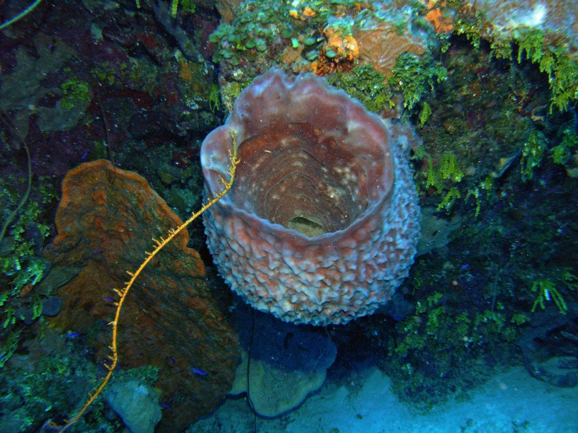 RIMG0856