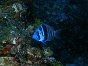 RIMG0805
