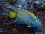 RIMG0816