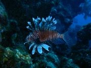 RIMG0829