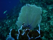 RIMG0831