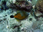 RIMG0845