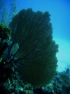 RIMG0847