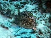 RIMG0869