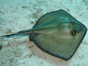 RIMG0872