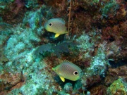 RIMG0935