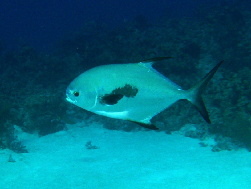 RIMG0958
