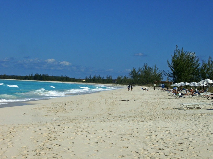 RIMG0984