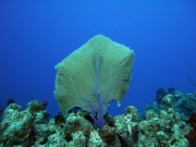 RIMG0954