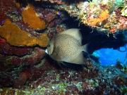 RIMG2316