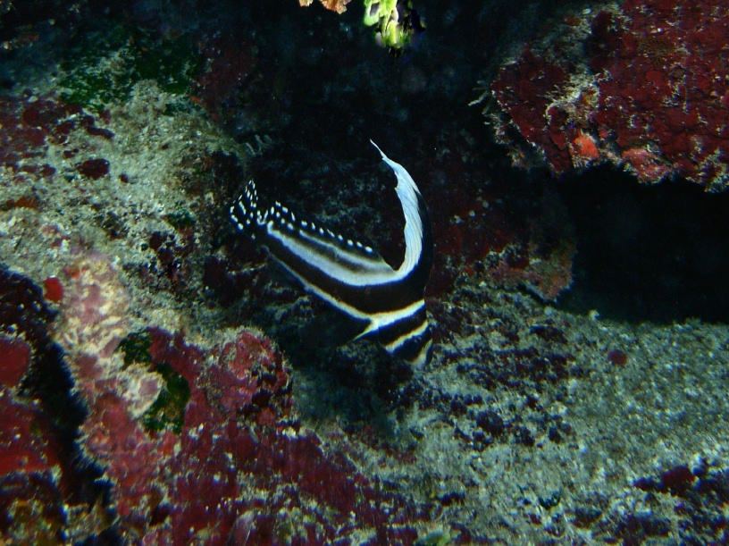 RIMG2538