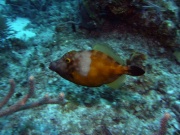 RIMG5543