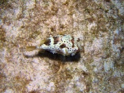 RIMG5557