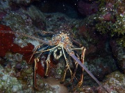 RIMG5687