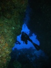 RIMG2702