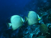 RIMG2812
