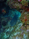 RIMG2792