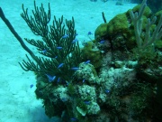 RIMG2875