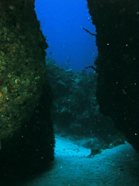 RIMG2944