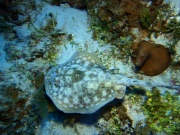 RIMG2967