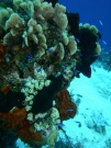 RIMG2982