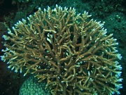 RIMG1758