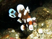 RIMG2279