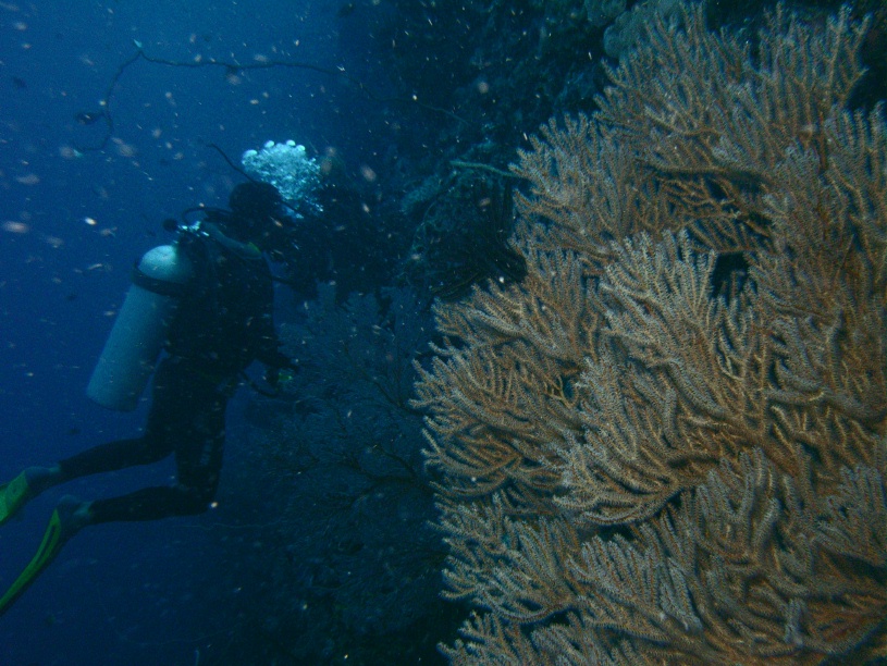 RIMG2452