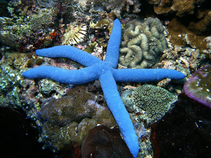 RIMG2472