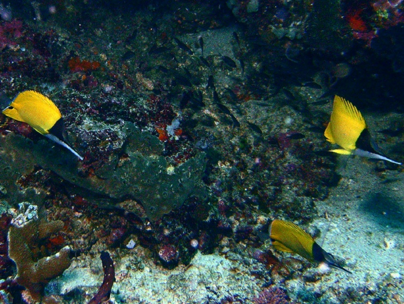 RIMG2522