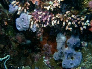 RIMG2469