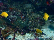 RIMG2522