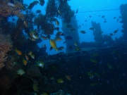 RIMG2555