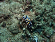 RIMG2576