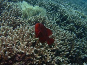 RIMG2587