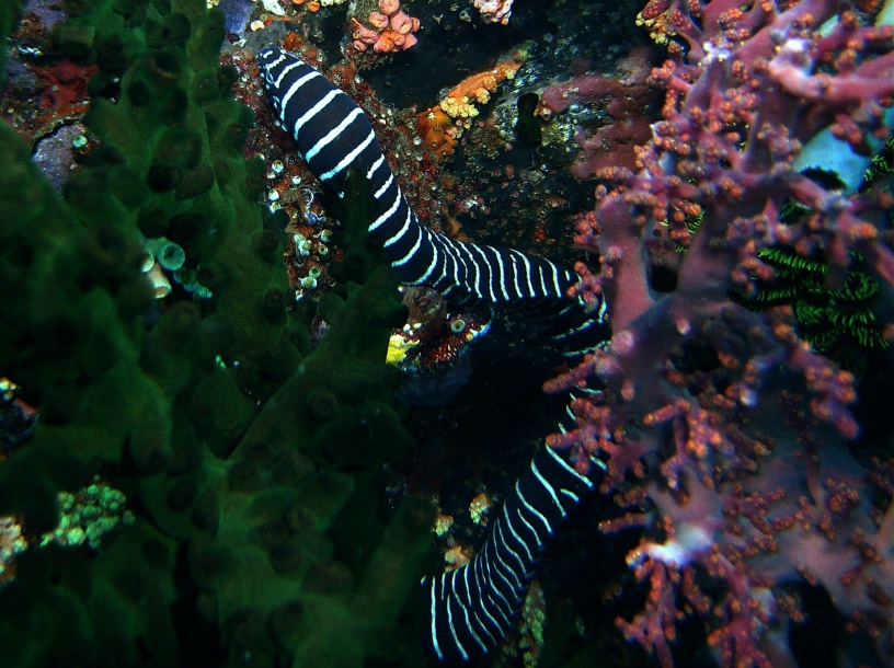 RIMG2716