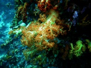 RIMG2686