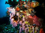 RIMG2692