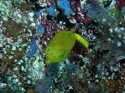 RIMG2713