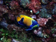 RIMG2763