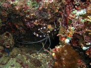 RIMG2782