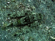 RIMG2845