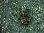 RIMG2847