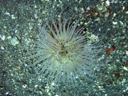 RIMG2848