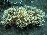 RIMG2873