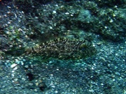 RIMG2899