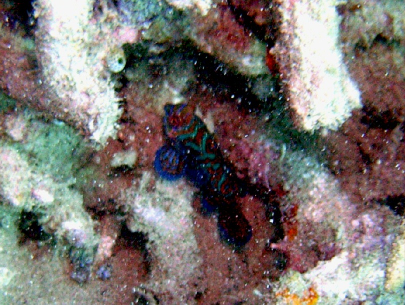 RIMG2967